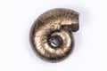 Natural pyritized ammonite 1.16g, 11.3mm, brassy spiral with a hollow centre