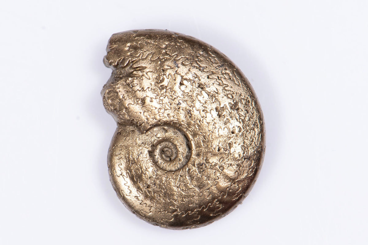 Natural Pyritized Ammonite 1.78g 15.1mm