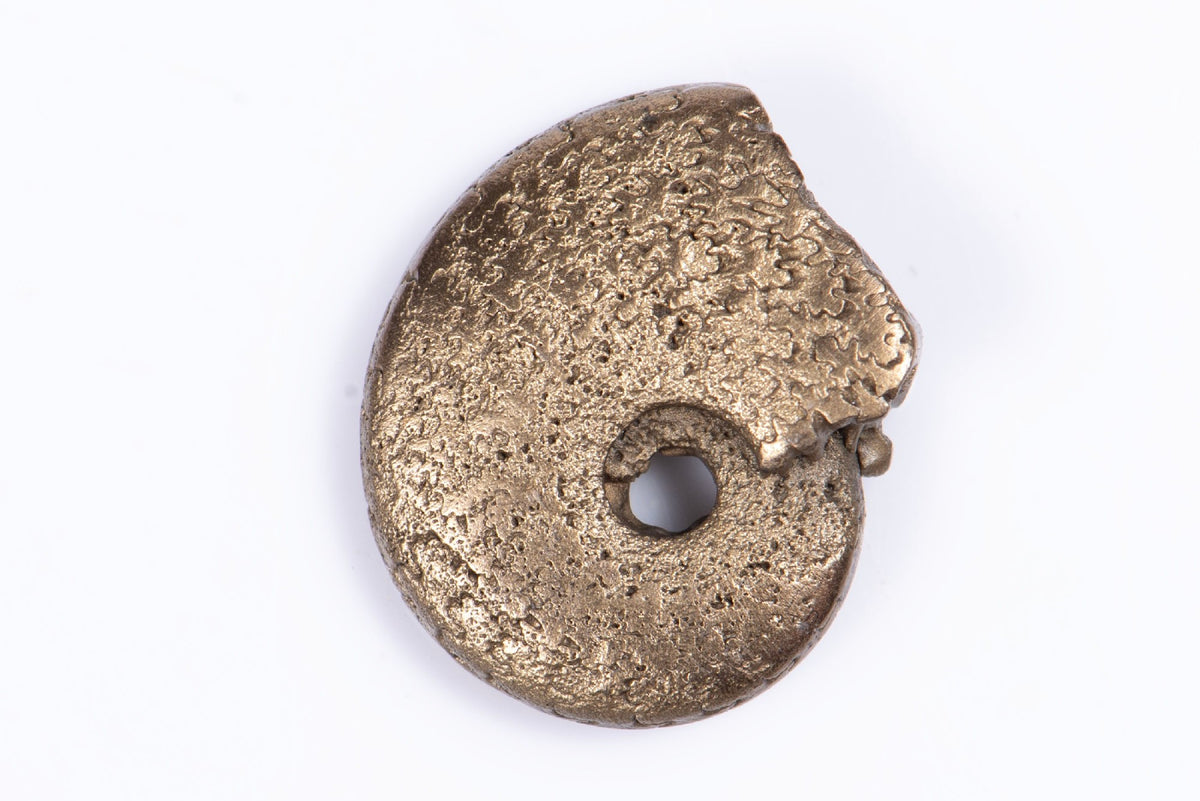 Natural Pyritized Ammonite 1.87g 16.4mm