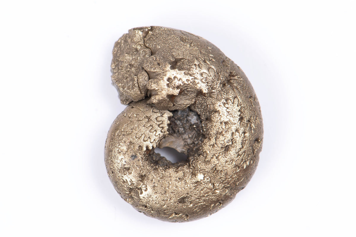 Natural Pyritized Ammonite 3.4g 17.9mm