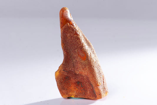 Rough Baltic amber 11.1g