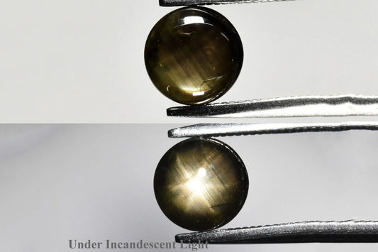 Natural Black 6 Ray Star Sapphire 6.5mm Unheated 1.40ct Round Cabochon
