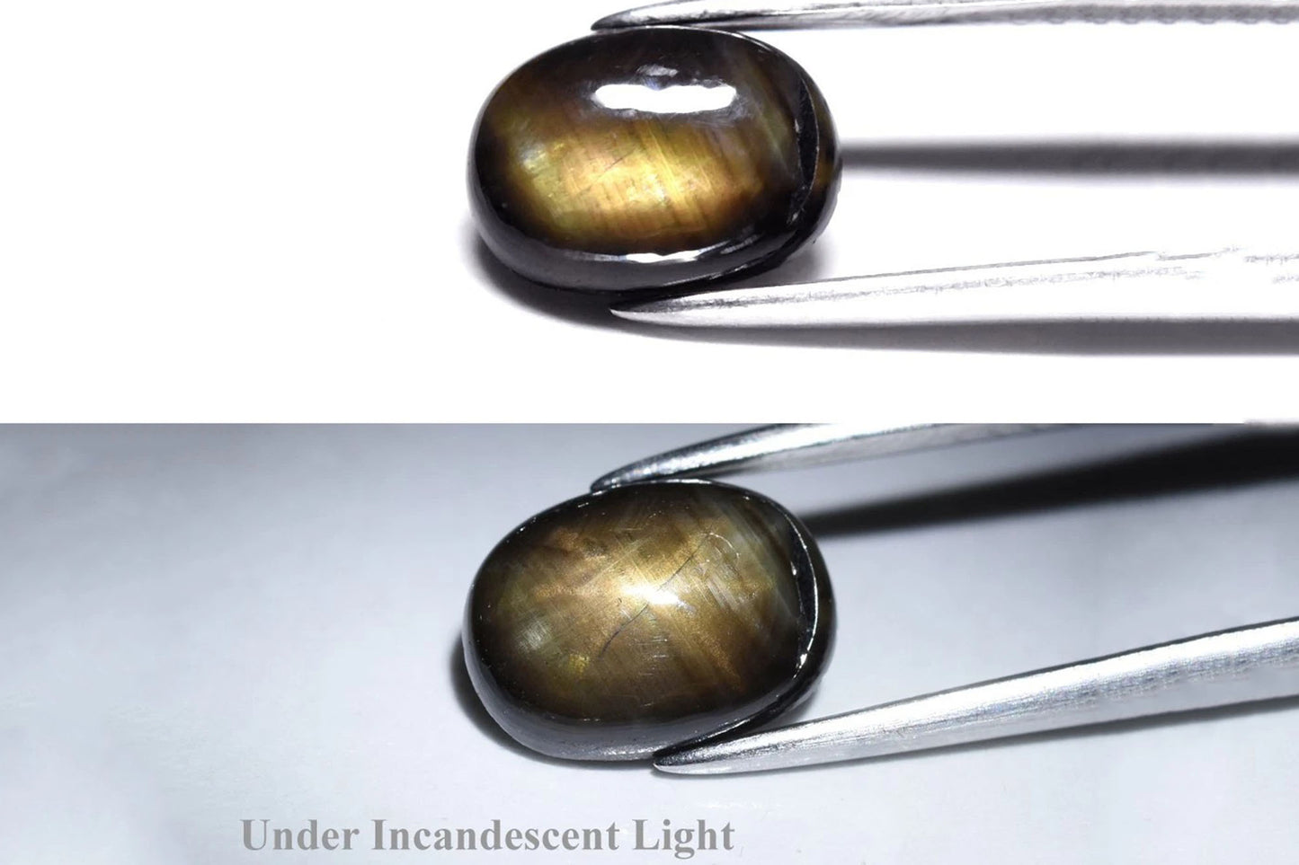 Natural Black 12 Ray Star Sapphire  1.88ct Unheated Oval Cabochon