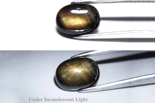Natural Black 12 Ray Star Sapphire  1.88ct Unheated Oval Cabochon